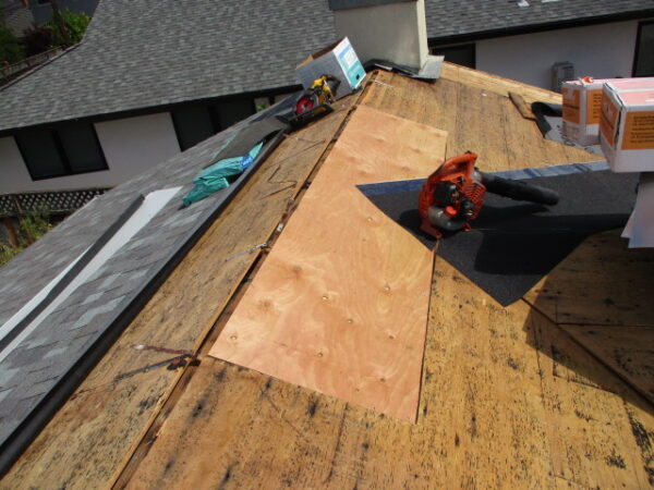 Essential Roofing Safety Tips Every Homeowner