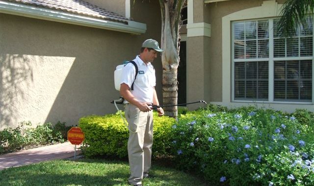 Using Pest Control Products