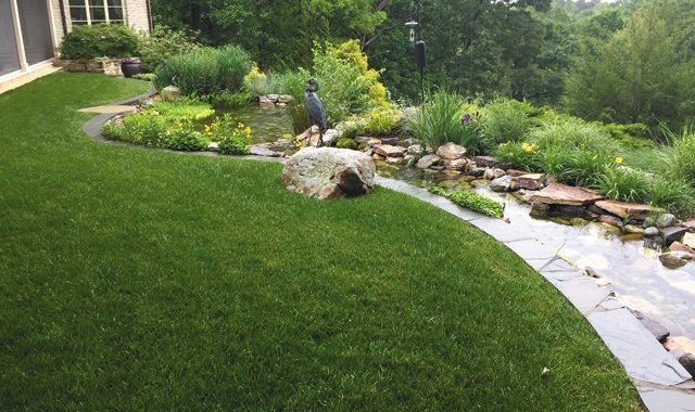 Landscaping Tips and Ideas