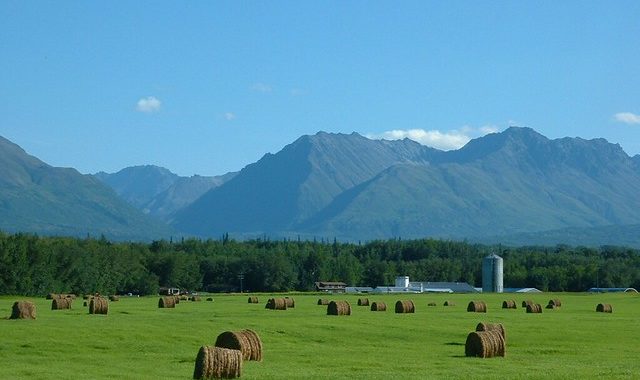 Developing HR in Agriculture