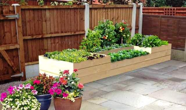 Garden Planters